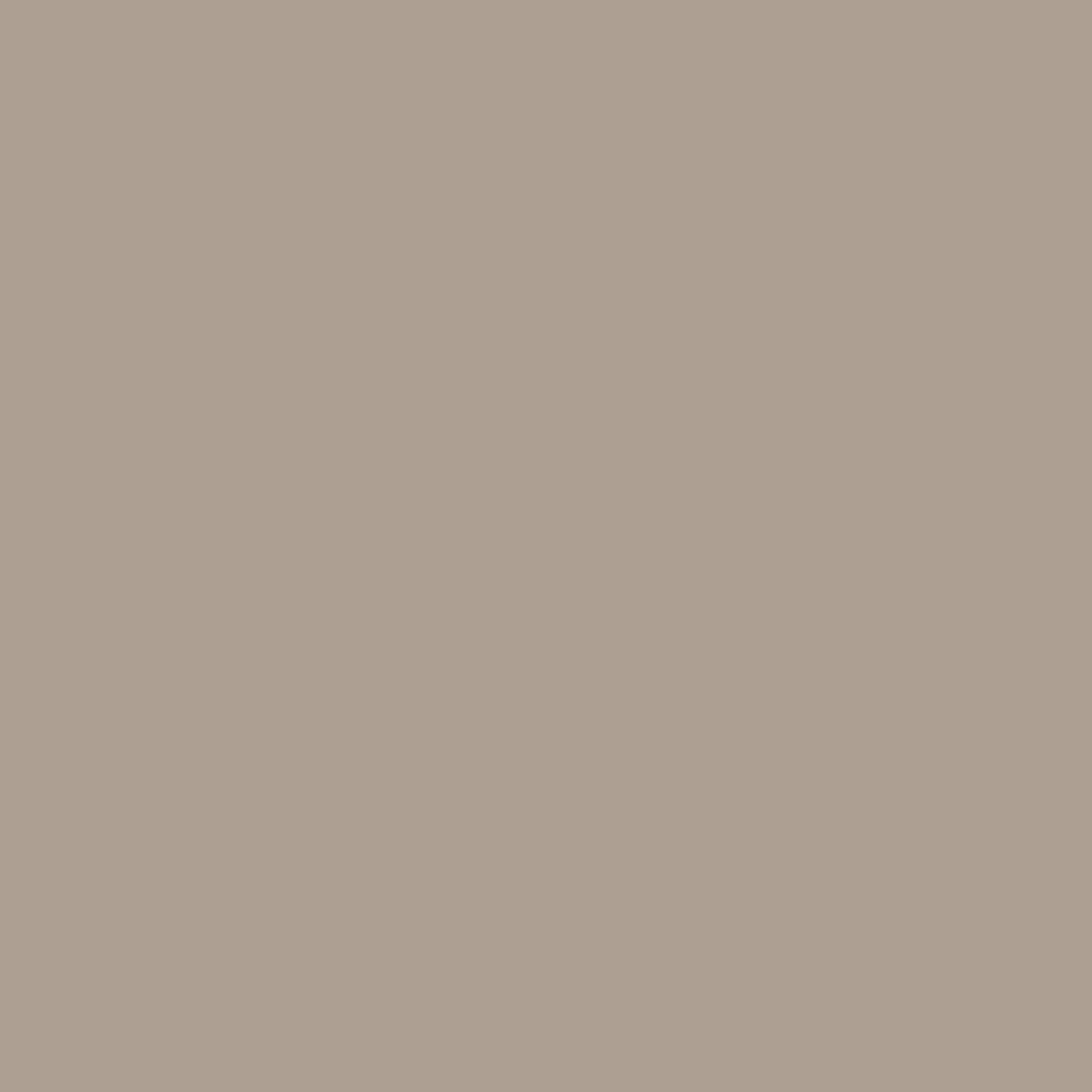 Küche Farbe Kashmir